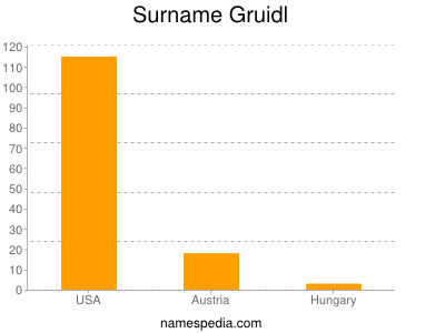 Surname Gruidl