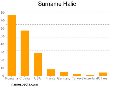 Surname Halic