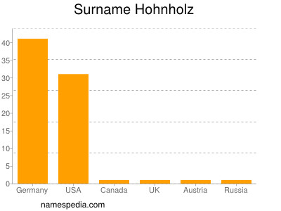 Surname Hohnholz