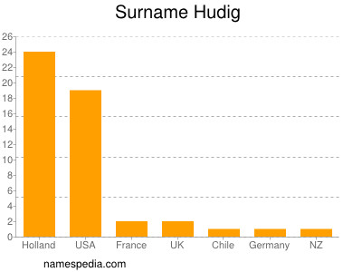 Surname Hudig