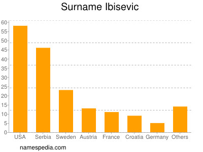 Surname Ibisevic