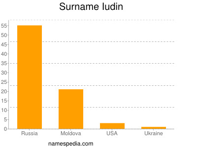 Surname Iudin