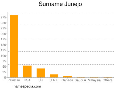 Surname Junejo