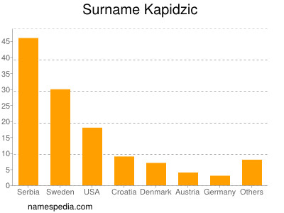 Surname Kapidzic