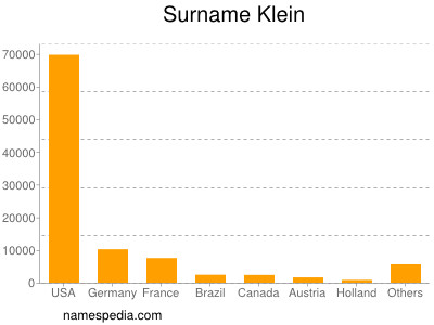 Surname Klein