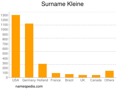 Surname Kleine