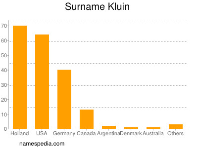 Surname Kluin