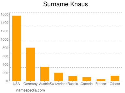 Surname Knaus