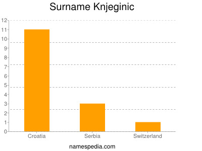 Surname Knjeginic