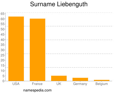 Surname Liebenguth