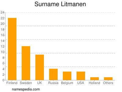 Surname Litmanen