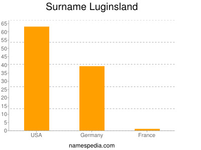 Surname Luginsland