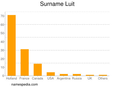 Surname Luit