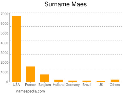 Surname Maes