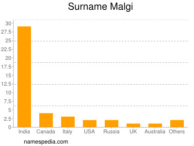 Surname Malgi