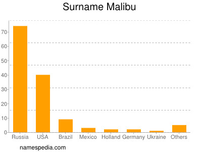 Surname Malibu