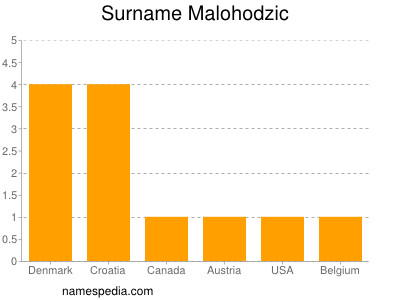 Surname Malohodzic