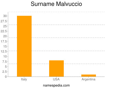 Surname Malvuccio