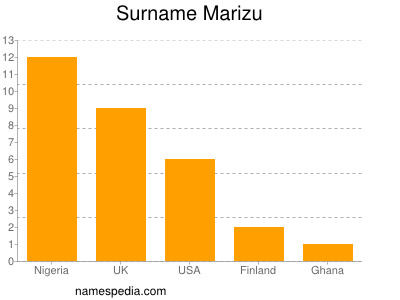 Surname Marizu