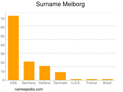 Surname Meiborg