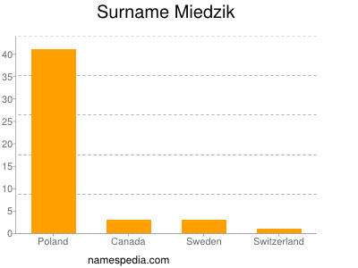 Surname Miedzik