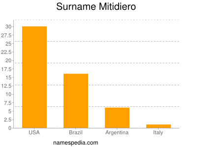 Surname Mitidiero