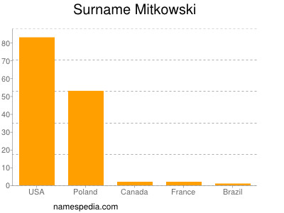 Surname Mitkowski