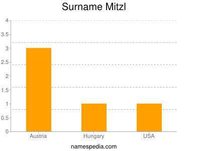 Surname Mitzl