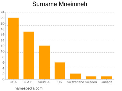 Surname Mneimneh