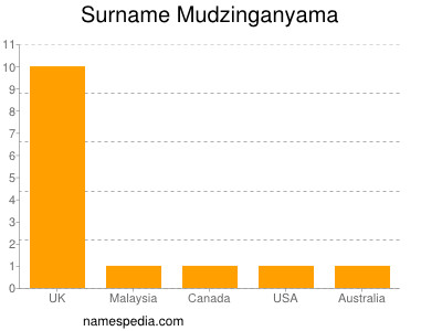 Surname Mudzinganyama