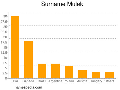 Surname Mulek