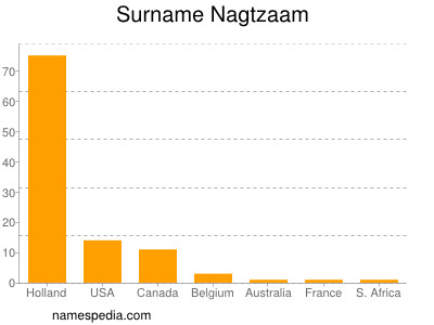 Surname Nagtzaam