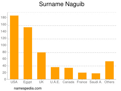 Surname Naguib