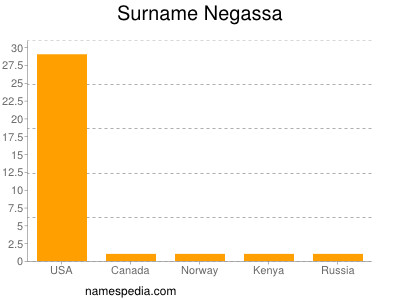 Surname Negassa