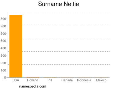 Surname Nettie