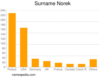 Surname Norek