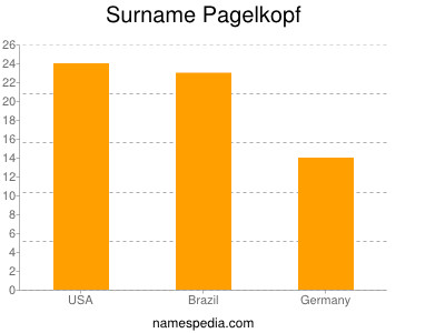 Surname Pagelkopf