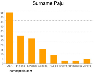 Surname Paju