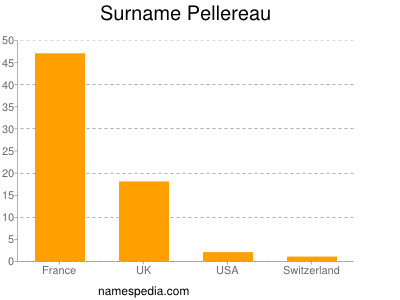 Surname Pellereau