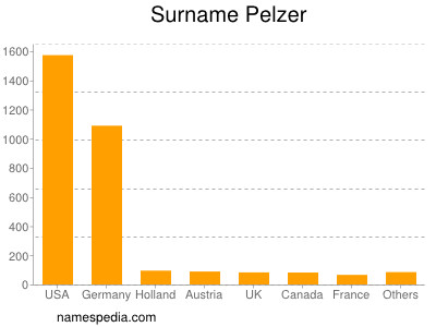 Surname Pelzer