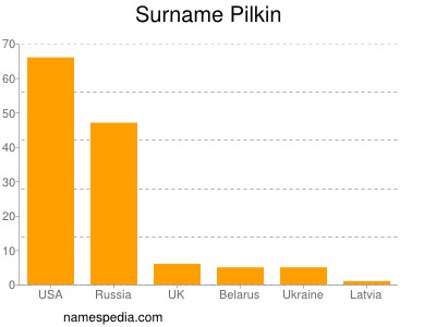 Surname Pilkin