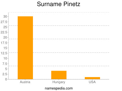Surname Pinetz