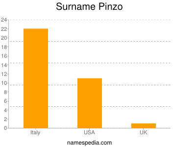 Surname Pinzo