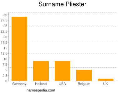 Surname Pliester