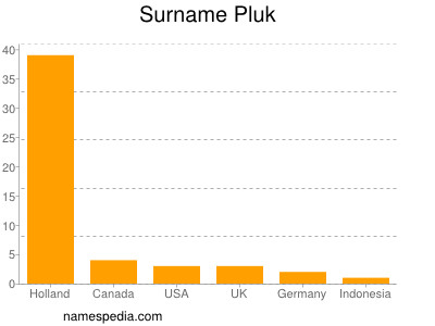 Surname Pluk