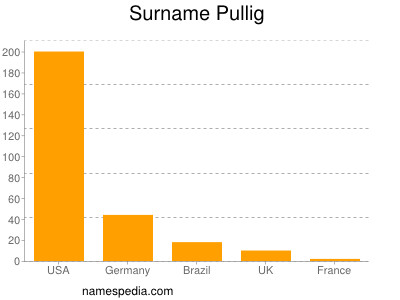 Surname Pullig