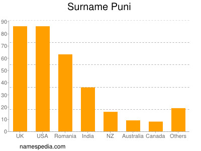 Surname Puni