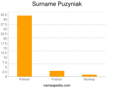 Surname Puzyniak