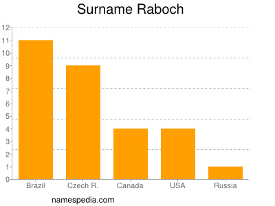 Surname Raboch