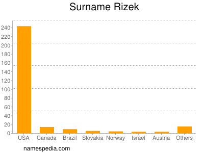 Surname Rizek